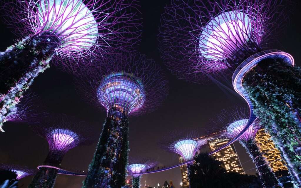Supertree Grove lit up at night at Gardens by the Bay